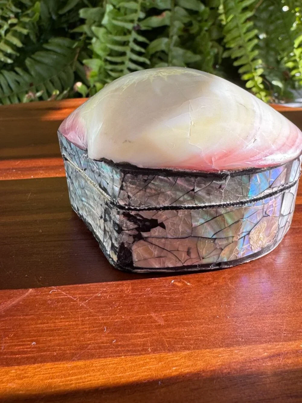 Abalone Shell Trinket Box – Iridescent Mosaic Jewellery Holder
